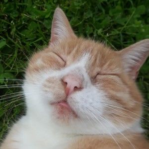 Meet your Posher, Maddy